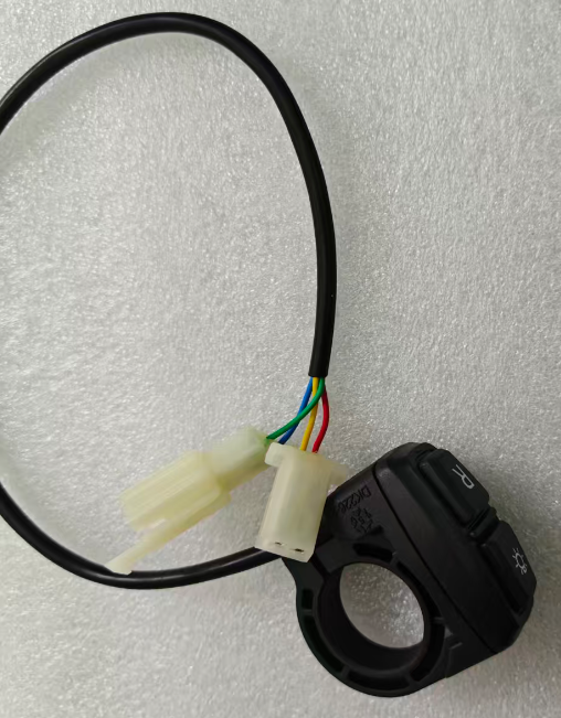 IN 10 Pro- Switch