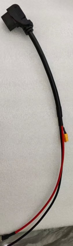 IN 10 Pro- Main Cable