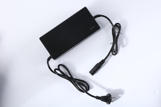 IN 10 Pro- Charger