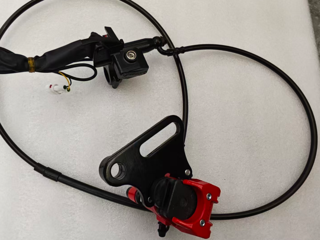 IN 10 Pro- Rear Disc Brakes