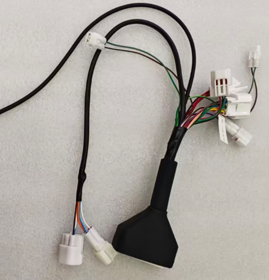 IN 10 Pro- Wiring Harness