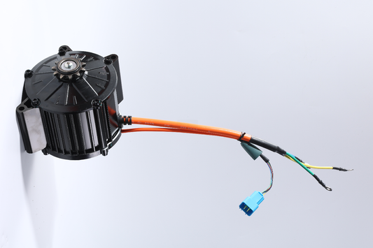 IN10- motor